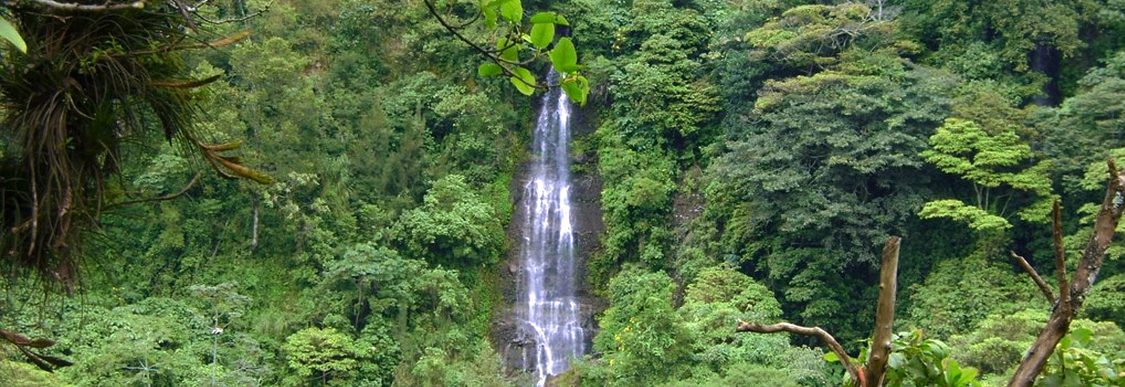 RUTA DE LAS ALTAS MONTANAS EN VERACRUZ